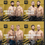 UFC-308
