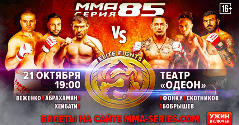 ММА-Серия-85
