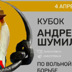 КУБОК-ШУМИЛИНА