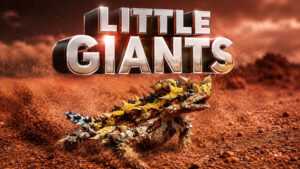 Большие-маленькие-гиганты-(2026)---Big-Little-Giants