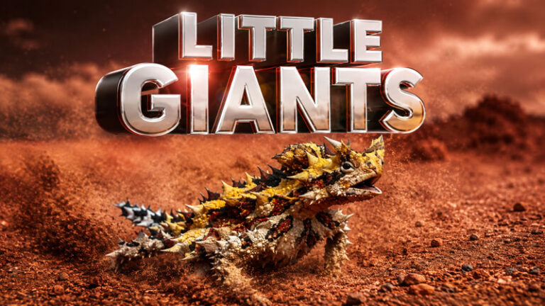 Большие-маленькие-гиганты-(2026)---Big-Little-Giants