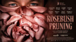 Подрезка-кустов-роз-(2026)---Rosebush-Pruning