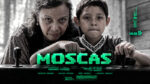 Мухи--Moscas---Flies-(2026)