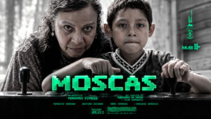 Мухи--Moscas---Flies-(2026)