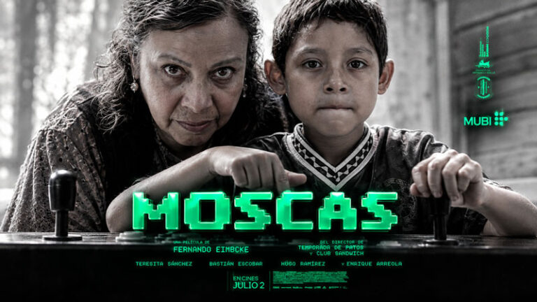 Мухи--Moscas---Flies-(2026)